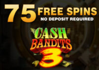 Cash Bandits 3